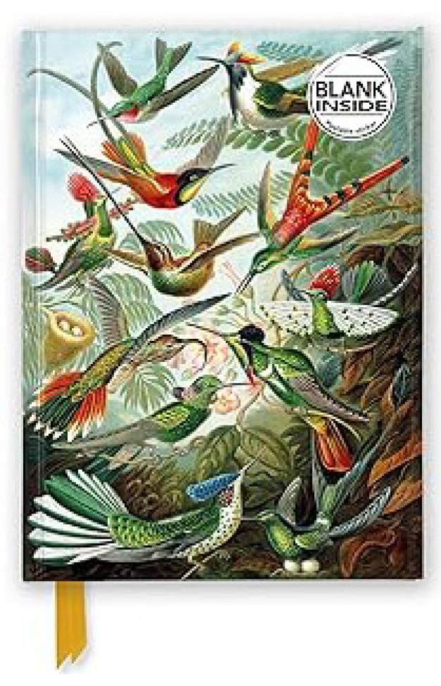 Ernst Haeckel Hummingbirds Foiled Blank Journal Flame Tree Blank Notebooks